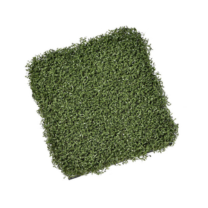 Golf tee çim paspası