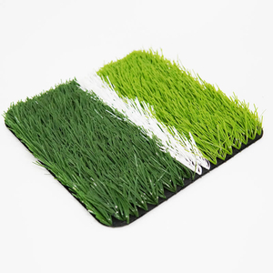 Voetbalgras qys-50165095J stengelvorm